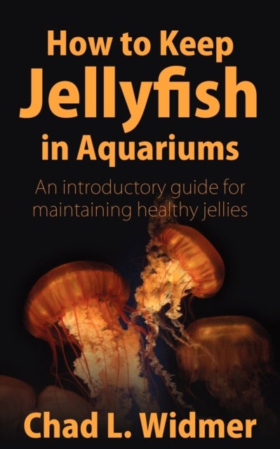 How to Keep Jellyfish in Aquariums - An Introductory Guide for Maintaining Healthy Jellies