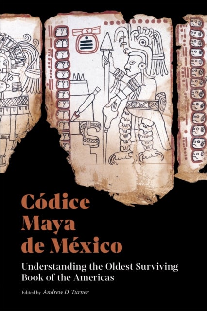 Codice Maya de Mexico - Understanding the Oldest Surviving Book of the Americas
