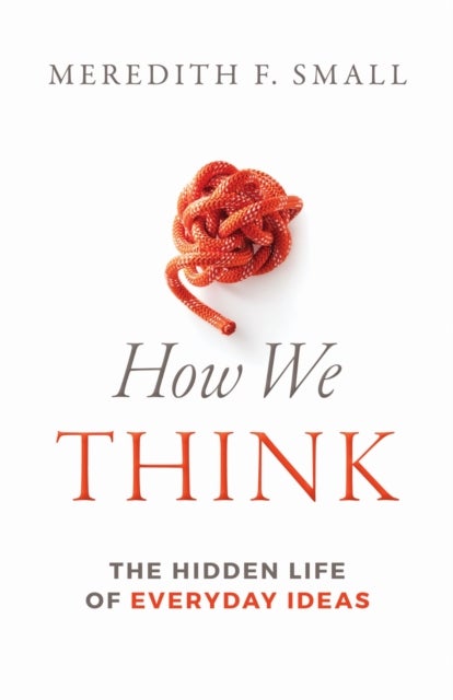 How We Think - The Hidden Life of Everyday Ideas