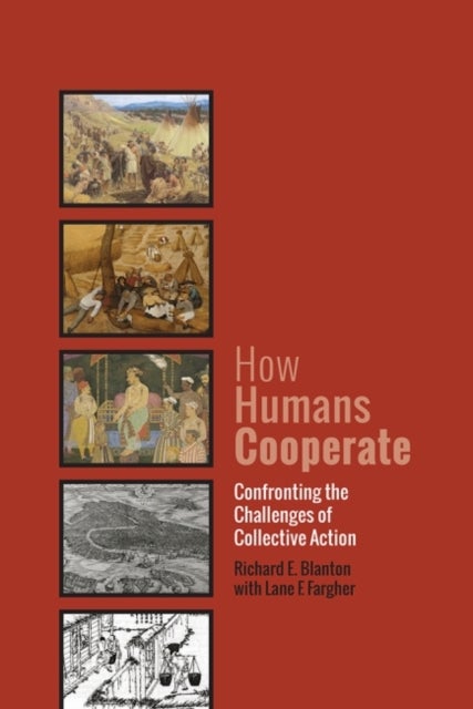 How Humans Cooperate - Confronting the Challenges of Collective Action