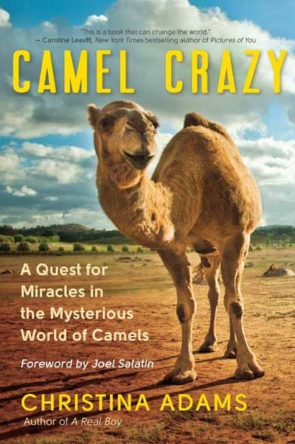Camel Crazy - A Quest for Healing in the Secret World of Camels