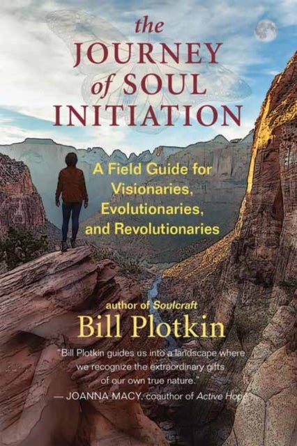 The Journey of Soul Initiation