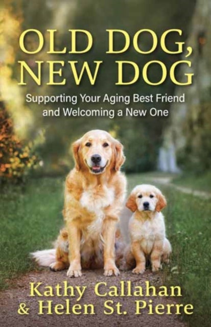 Old Dog, New Dog - A Guide to Supporting Your Aging Best Friend and Welcoming a New One