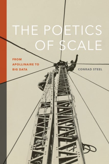 The Poetics of Scale - From Apollinaire to Big Data