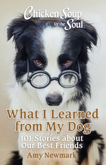 Chicken Soup for the Soul: What I Learned from My Dog - 101 Stories about Our Best Friends
