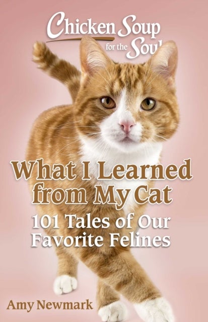 Chicken Soup for the Soul: What I Learned from My Cat - 101 Tales of Our Favorite Felines