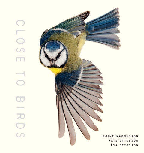 Close to Birds - An Intimate Look at Our Feathered Friends