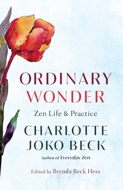 Ordinary Wonder - Zen Life and Practice