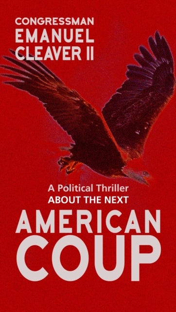 American Coup - A Political Thriller
