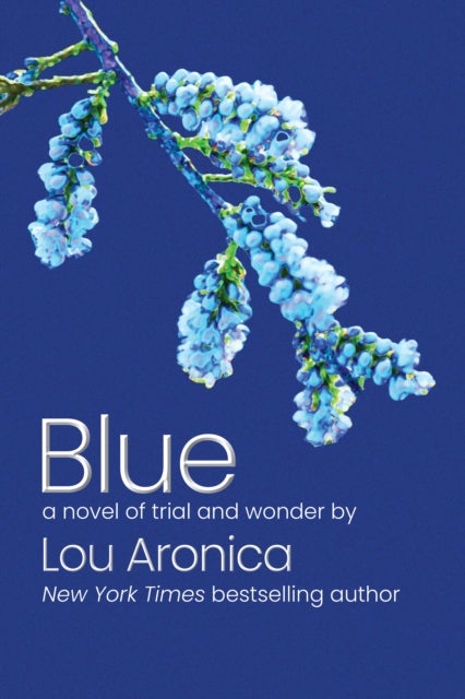 Blue - A Novel of Trial and Wonder