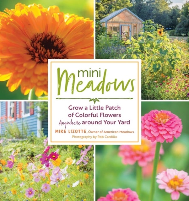 Mini Meadows - Grow a Little Patch of Colorful Flowers Anywhere around Your Yard