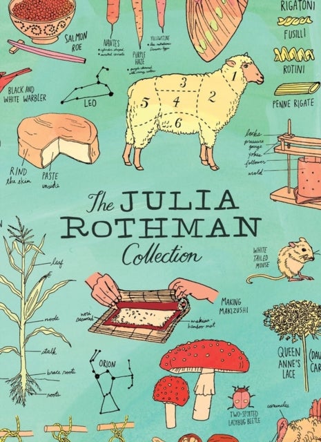 The Julia Rothman Collection - Farm Anatomy, Nature Anatomy, and Food Anatomy
