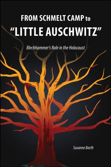 From Schmelt Camp to "Little Auschwitz - Blechhammer's Role in the Holocaust