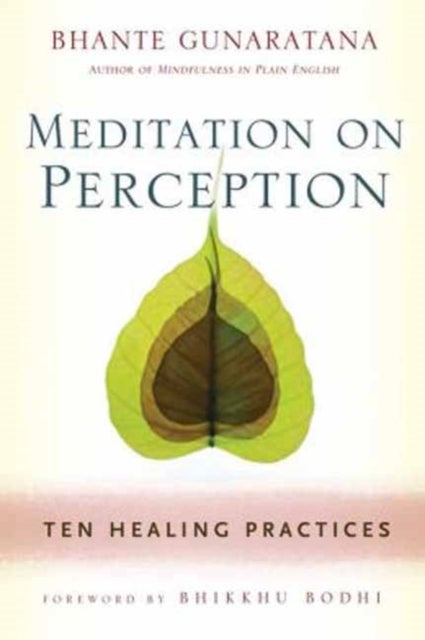 Meditation on Perception - Ten Healing Practices to Cultivate Mindfulness