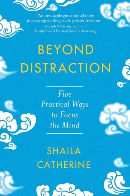 Beyond Distraction - Five Practical Ways to Focus the Mind