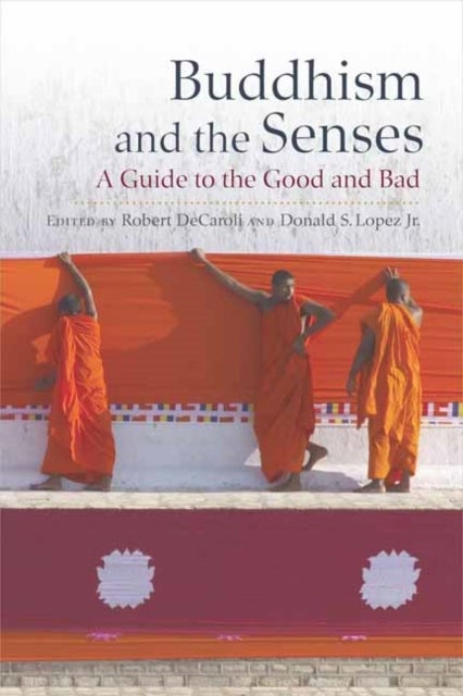 Buddhism and the Senses - A Guide to the Good and Bad