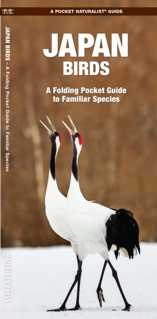 Japan Birds - A Folding Pocket Guide to Familiar Species