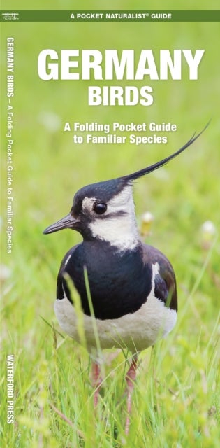 Germany Birds - A Folding Pocket Guide to Familiar Species