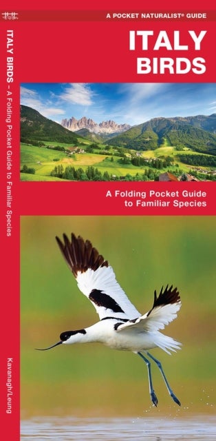 Italy Birds - A Folding Pocket Guide to Familiar Species
