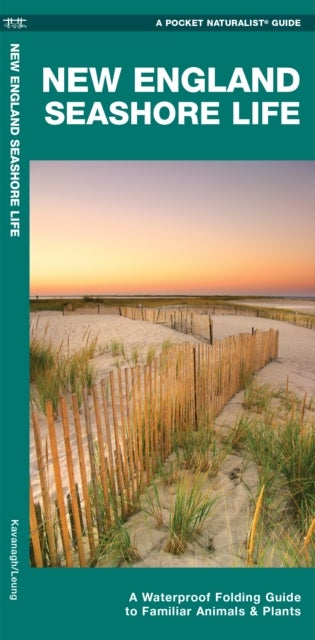 New England Seashore Life - A Waterproof Folding Guide to Familiar Animals & Plants