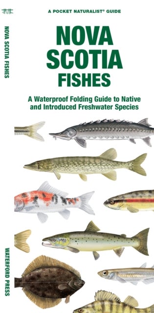 Nova Scotia Fishes - A Folding Guide to Native and Introduced Freshwater Species