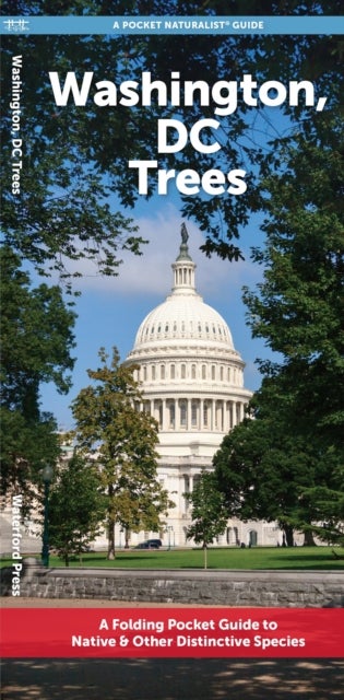 Washington, DC Trees - A Folding Pocket Guide to Native & Other Distinctive Species