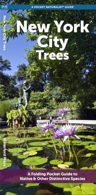 New York City Trees - A Folding Pocket Guide to Familiar Trees