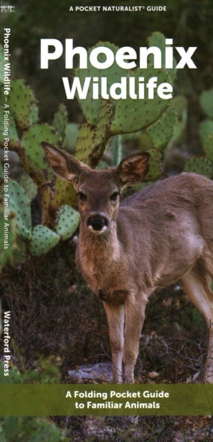 Phoenix Wildlife - A Folding Pocket Guide to Familiar Animals