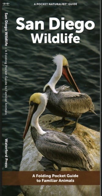 San Diego Wildlife - A Folding Pocket Guide to Familiar Animals