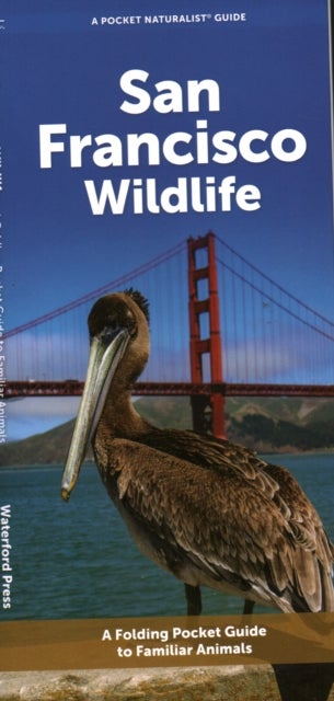 San Francisco Wildlife - A Folding Pocket Guide to Familiar Animals