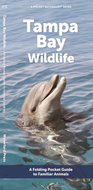 Tampa Bay Wildlife - A Folding Pocket Guide to Familiar Animals