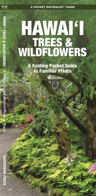 Hawai'i Trees & Wildflowers, 2nd Ed - A Folding Pocket Guide to Familiar Plants