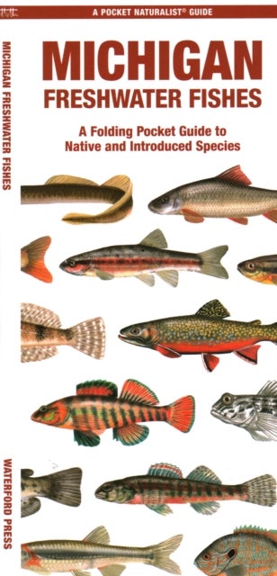 Michigan Freshwater Fishes - A Folding Guide to Native and Introduced Species