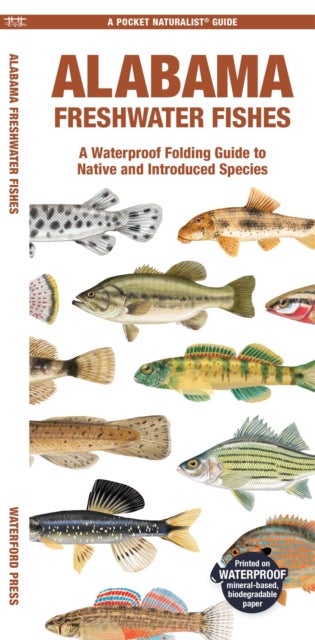 Alabama Freshwater Fishes - A Folding Guide to Native and Introduced Species