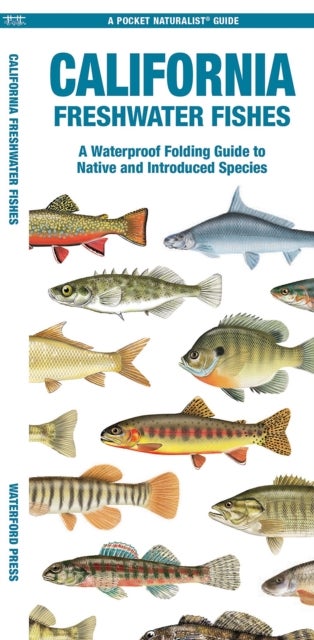 California Freshwater Fishes - A Folding Guide to Native and Introduced Species