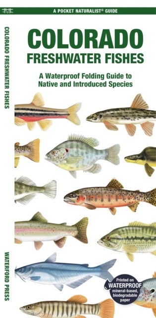 Colorado Freshwater Fishes - A Waterproof Folding Guide to Native and Introduced Species