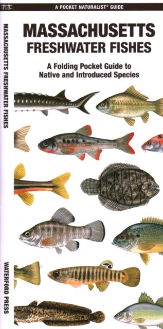 Massachusetts Freshwater Fishes - A Folding Guide to Native and Introduced Species