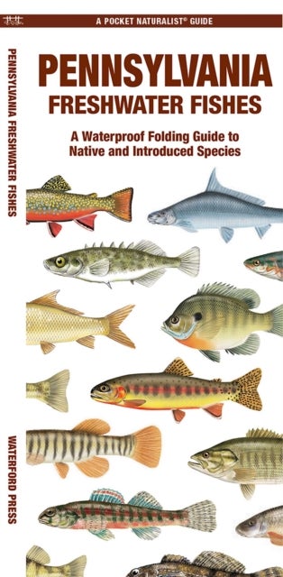 Pennsylvania Freshwater Fishes - A Folding Guide to Native and Introduced Species