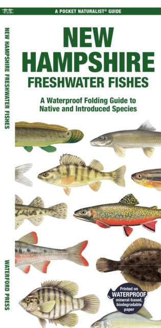 New Hampshire Freshwater Fishes - A Folding Guide to Native and Introduced Species