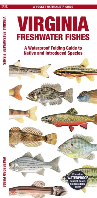 Virginia Freshwater Fishes - A Folding Guide to Native and Introduced Species