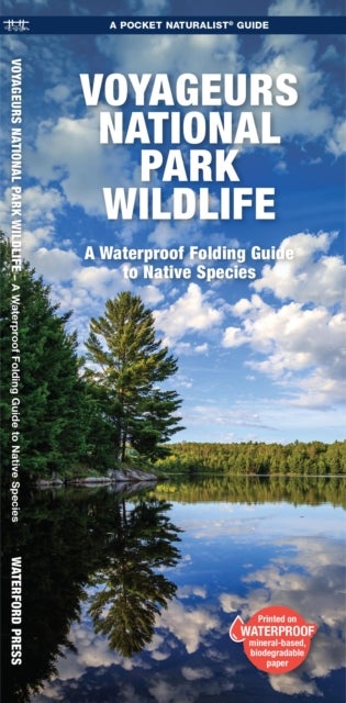 Voyageurs National Park Wildlife - A Waterproof Folding Pocket Guide to Native Species