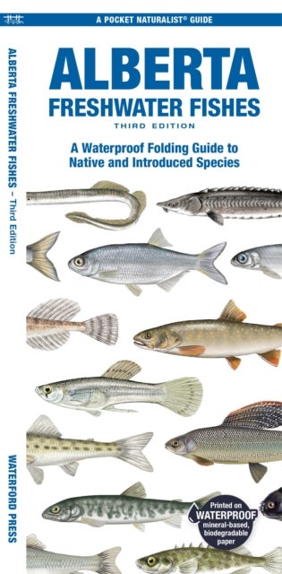 Alberta Freshwater Fishes, 3rd Ed - A Folding Guide to Native and Introduced Species
