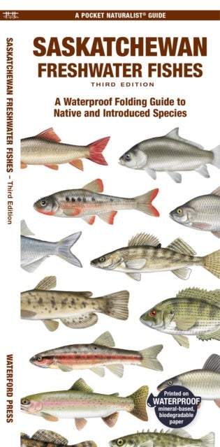 Saskatchewan Freshwater Fishes, 3rd Ed - A Folding Guide to Native and Introduced Species