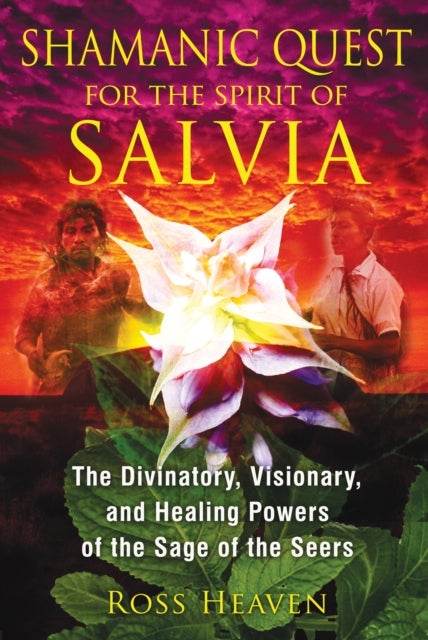 Shamanic Quest for the Spirit of Salvia - The Divinatory, Visionary, and Healing Powers of the Sage of the Seers