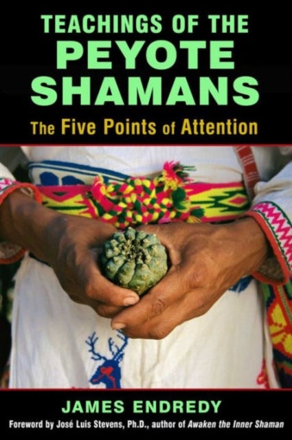 Teachings of the Peyote Shamans - The Five Points of Attention