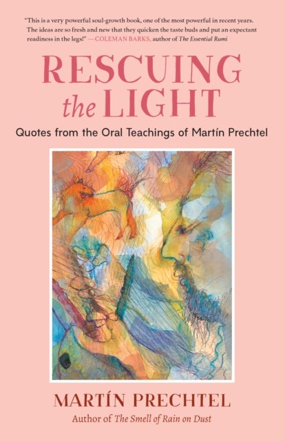 Rescuing the Light - Quotes from the Oral Teachings of Martin Prechtel