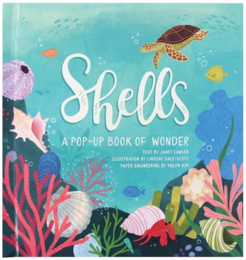 Shells - A Pop-Up Book of Wonder