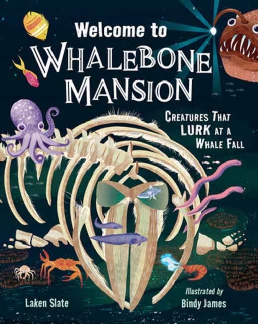Welcome to Whalebone Mansion - Creatures That Lurk at a Whale Fall