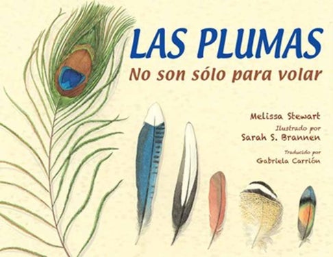 Las plumas - No son solo para volar