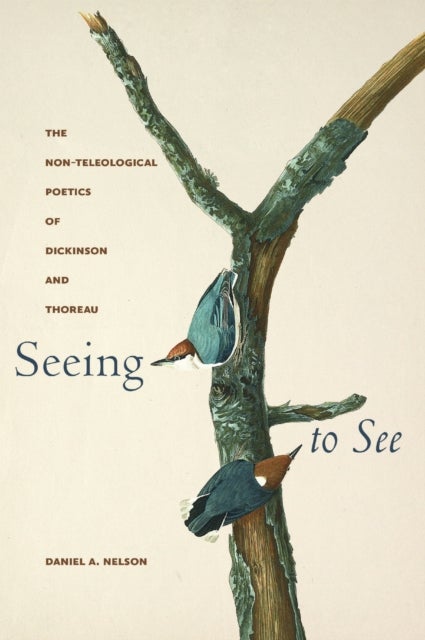 Seeing to See - The Non-Teleological Poetics of Dickinson and Thoreau